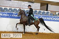 14r9_7011 thumbnail