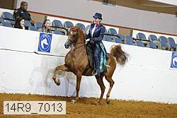 14r9_7013 thumbnail