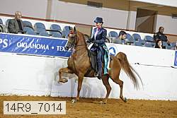 14r9_7014 thumbnail