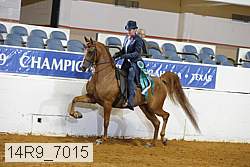 14r9_7015 thumbnail