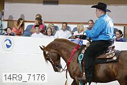14r9_7176 thumbnail