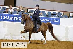 14r9_7237 thumbnail