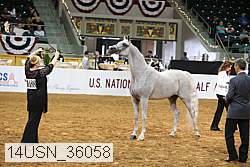 14usn_36058 thumbnail
