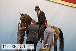 14usn_31042 thumbnail