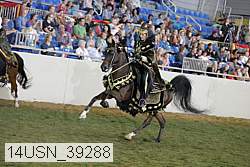 14usn_39288 thumbnail