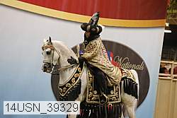 14usn_39329 thumbnail