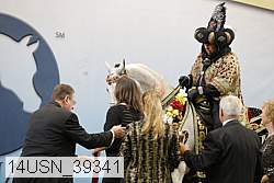 14usn_39341 thumbnail