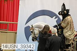 14usn_39342 thumbnail