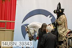 14usn_39343 thumbnail