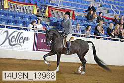14usn_13968 thumbnail