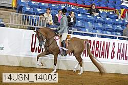14usn_14002 thumbnail