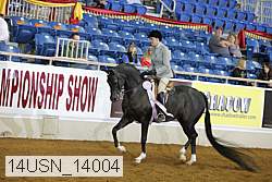14usn_14004 thumbnail