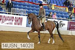 14usn_14028 thumbnail