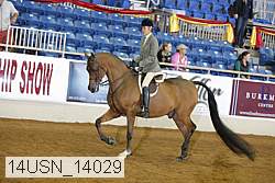 14usn_14029 thumbnail