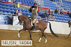 14usn_14044 thumbnail