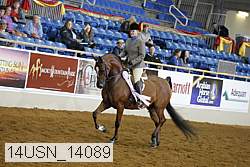 14usn_14089 thumbnail