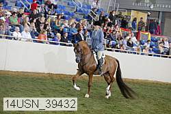 14usn_39432 thumbnail