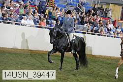 14usn_39447 thumbnail