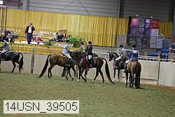 14usn_39505 thumbnail