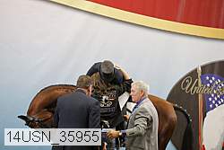 14usn_35955 thumbnail