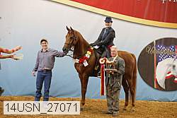 14usn_27071 thumbnail