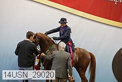 14usn_29020 thumbnail