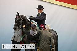 14usn_29028 thumbnail