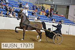 14usn_17975 thumbnail