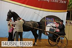 14usn_18036 thumbnail