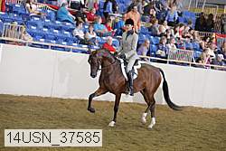 14usn_37585 thumbnail