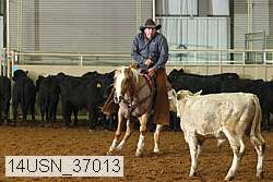 14usn_37013 thumbnail