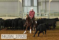 14usn_37020 thumbnail