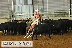 14usn_37027 thumbnail