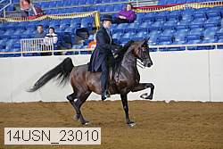 14usn_23010 thumbnail