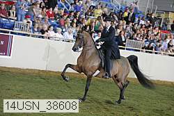 14usn_38608 thumbnail