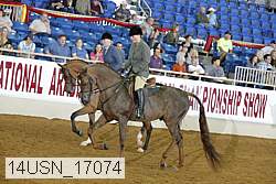 14usn_17074 thumbnail