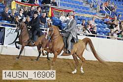 14usn_16906 thumbnail