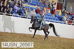 14usn_26567 thumbnail