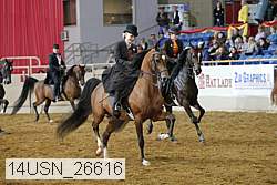14usn_26616 thumbnail