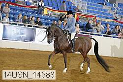 14usn_14588 thumbnail
