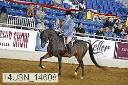 14usn_14608 thumbnail