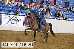 14usn_10620 thumbnail