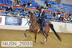 14usn_25033 thumbnail