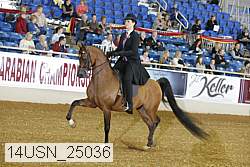 14usn_25036 thumbnail