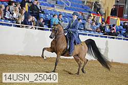 14usn_25040 thumbnail
