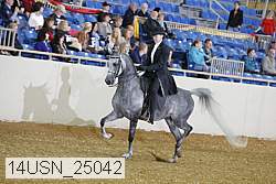 14usn_25042 thumbnail