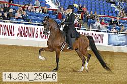 14usn_25046 thumbnail