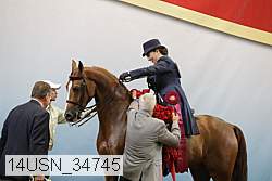 14usn_34745 thumbnail