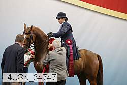 14usn_34747 thumbnail