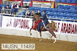 14usn_11489 thumbnail